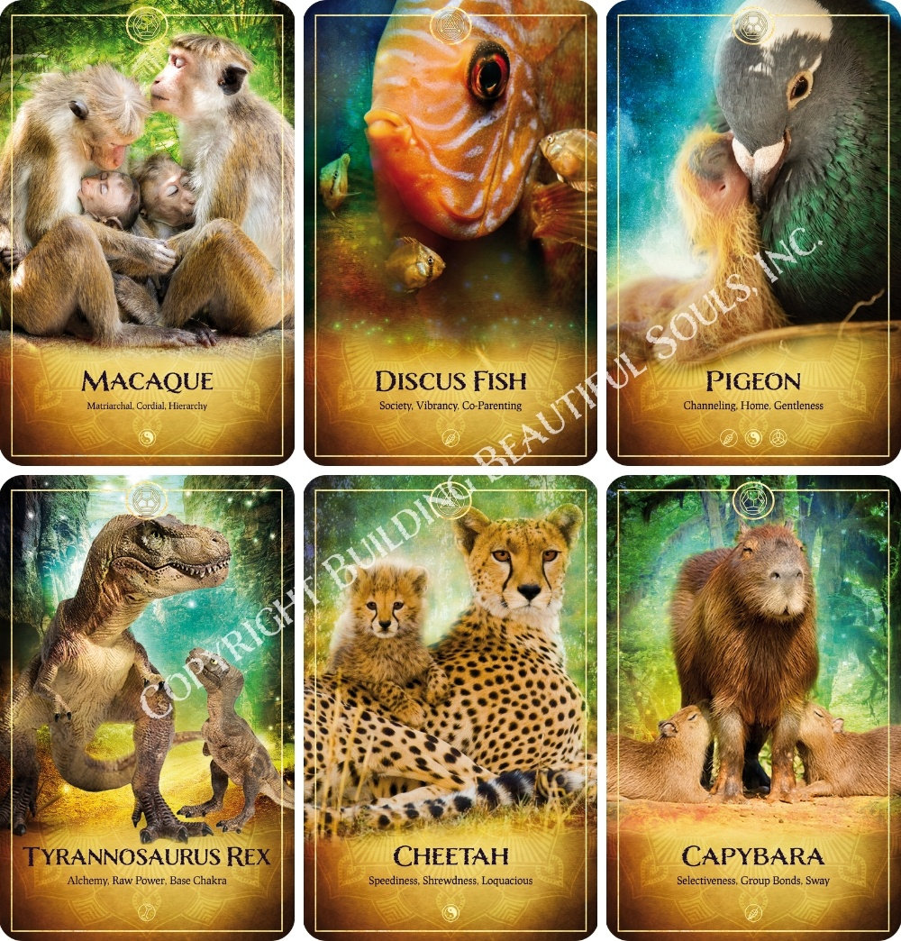 The Ark Animal Tarot & Oracle Deck - SPECIAL DELUXE EDITION The Ark Animal Tarot & Oracle Deck - SPECIAL DELUXE EDITION