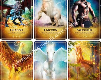 【レア】The Ark Animal タロット＆オラクル レアThe Ark Animal Tarot & Oracle Deck（The Ark Special