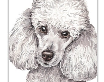 Miniature Poodle, Miniature Poodle dog Card, birthday dog card, greeting card,  dog portraits, dog greeting cards, dog gift cards