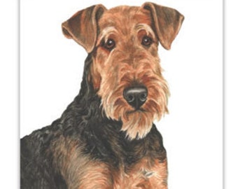 Dog Cards, Airedale Terrier, Airedale Terrier dog Cards, greeting cards, gift cards, dog portraits, dog greeting cards, dog gift cards