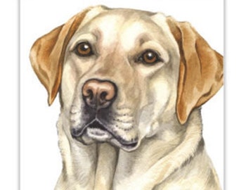 Dog Cards, Golden Labrador, Golden Labrador dog Card, birthday dog card, greeting card,  dog portraits, dog greeting cards, dog gift cards
