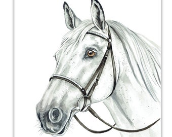 Horse Card, Grey horse, Equestrian Card,  Farm animal Card, greeting card, gift card, horse portrait, horse greeting cards, horse gift cards