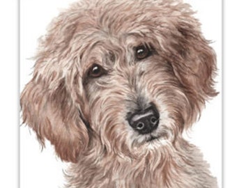 Dog Cards, Labradoodle, Labradoodle dog Card, birthday dog card, greeting card,  dog portraits, dog greeting cards, dog gift cards