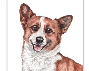 Dog Cards, Corgi, Corgi dog Card, birthday dog card, greeting cards, dog gift cards, dog portraits, dog greeting cards, dog gift cards