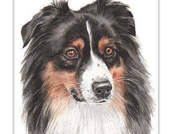 Dog Cards, Australian Shepherd, Australian Shepherd dog Cards, greeting cards, gift cards, dog portraits, dog greeting cards, dog gift cards