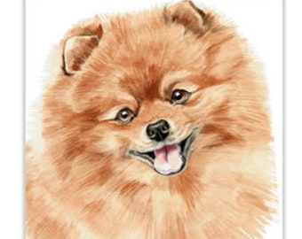 Dog Cards, Pomeranian, Pomeranian dog Card, birthday dog card, greeting card,  dog portraits, dog greeting cards, dog gift cards