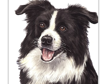 Dog Cards, Border Collie,  dog Card, birthday dog card, greeting cards, gift cards, dog portraits, dog greeting cards, dog gift cards