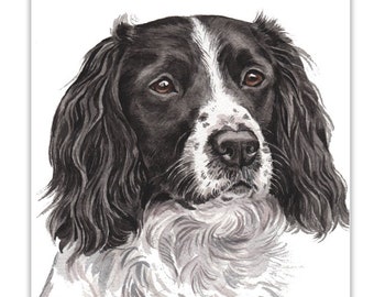 Dog Cards, Springer Spaniel, Springer Spaniel dog Card, birthday dog card, greeting card,  dog portraits, dog greeting cards, dog gift cards