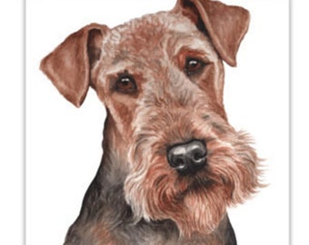 Dog Cards, Airedale Terrier, Airedale Terrier dog Cards, greeting cards, gift cards, dog portraits, dog greeting cards, dog gift cards