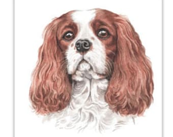 Dog Cards, Cavalier Kings Charles dog Card, birthday dog card, greeting cards, gift cards, dog portraits, dog greeting cards, dog gift cards