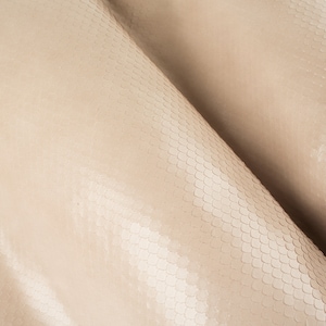 Puede incluir: Primer plano de una piel de serpiente beige con una superficie texturizada y escamosa.