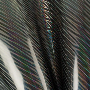 Chameleon Rainbow Embossed Print Italian Leather Pieces