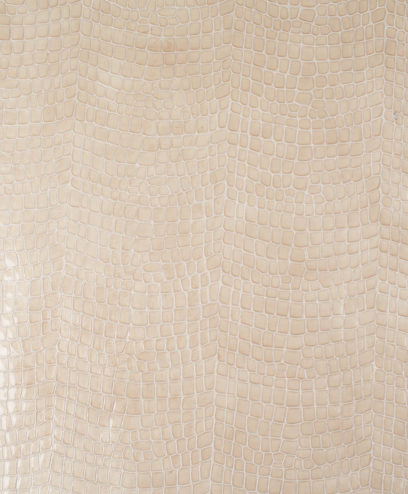 Puede incluir: Primer plano de una tela beige texturizada con un patr&oacute;n de piel de cocodrilo.