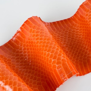 Naranja ITALIAN piel brillante piel de cuero SNAKE genuina AYERS