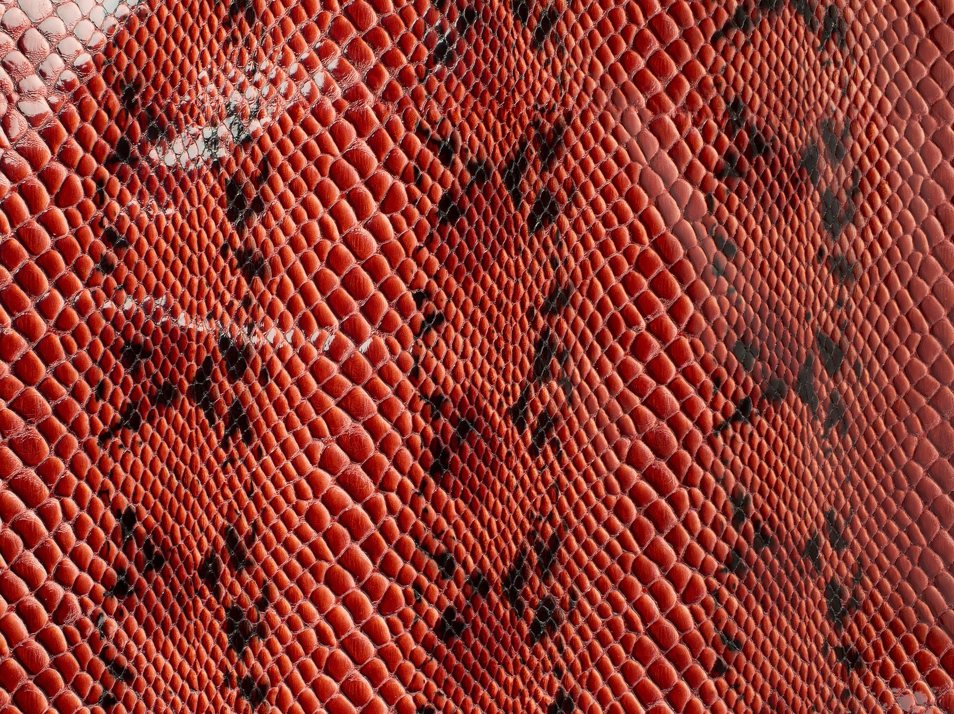 MARSALA ITALIAN Python Print ITALIAN Leather Calf Cow Hide | Etsy