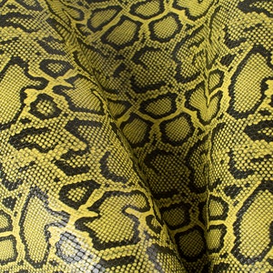 May include: Close-up of yellow and black snakeskin pattern. The texture is detailed and the colors are vibrant.