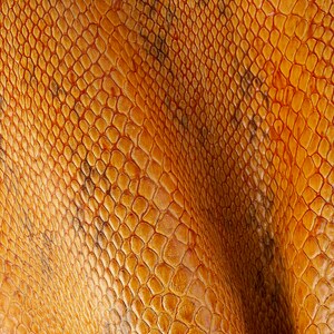 Puede incluir: Primer plano de una tela naranja texturizada con un patrón de piel de serpiente.