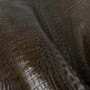 Pode incluir: Close-up de couro marrom com textura de crocodilo com um padrão texturizado e escamoso.