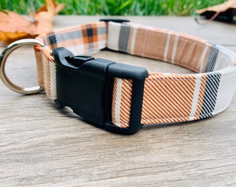 cute dog collars for boy dogs