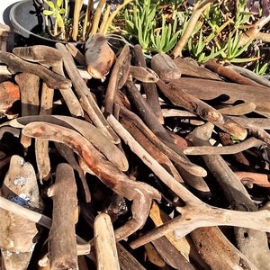 300+ Driftwood pieces 1&quot; to 12&quot; OVER 300 PIECES! Large Box full of quality pieces of hand -gathered, natural driftwood,Driftwood mobiles