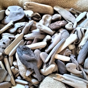 Small Driftwood Pieces: 150+ Hand-Gathered Coastal Decor (1-2 inch)