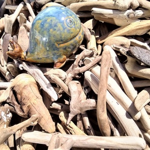 May include: A ceramic whale figurine with blue and yellow glaze rests among a pile of driftwood. The whale has brown fins and a smiling expression. The driftwood pieces vary in size and color, creating a natural, textured background.
