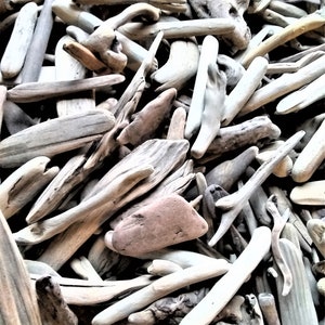 250+ Driftwood Pieces, 1&quot;-10&quot;High quality pieces, California ocean driftwood, pacific ocean driftwood,arts and crafts, small driftwood piece