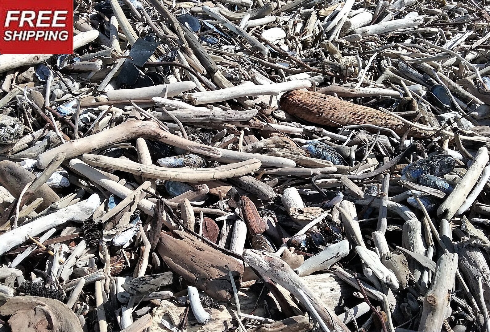 1000 PIECES 1 to 4 Driftwood Variety Packa Huge Etsy
