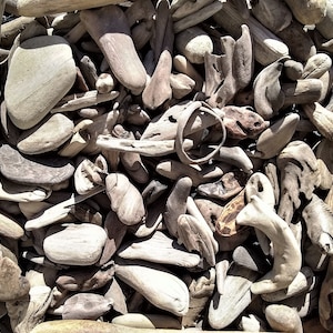 YOU CHOOSE SIZE! 1/2&quot;-4&quot; Driftwood Pieces! Choose Quantity and Size! Create Your Own Order! Natural Driftwood For Sale! Wholesale!