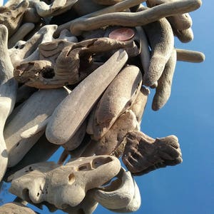 Driftwood pieces 3&quot; to 8&quot; assorted pieces,  (200 PCS AVERAGE) hand-gathered, natural driftwood,driftwood