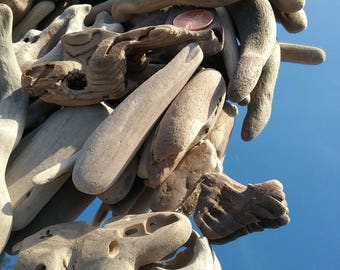 Driftwood pieces 3" to 8" assorted pieces, Medium Flat Rate Box Full of (200 PCS AVERAGE) hand-gathered, natural driftwood,driftwood