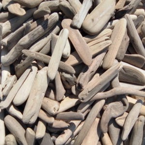 May include: A large collection of weathered driftwood pieces in various shades of light gray, beige, and tan. The wood fragments are smooth, elongated, and irregular in shape, showing natural textures and worn surfaces from exposure to water.