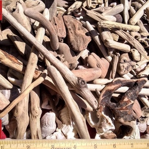 Pacific Ocean Driftwood Pieces: Arts & Crafts Supply - Medium Box