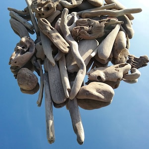 200 Tiny Driftwood 1&quot; to 3&quot; Strong, Little pieces of driftwood, Calif. ocean driftwood, natural driftwood art, small driftwood pieces crafts