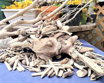 YOUR CHOICE SIZE! From 4"-8" Driftwood Pieces! Choose Quantity and Size! Create Your Own Order! Natural Driftwood For Sale!