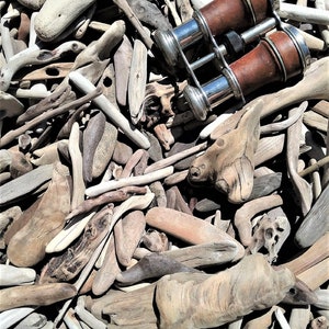 200+ Small Pacific Ocean Driftwood Pieces: 3-12&quot; Northern California Beach Finds