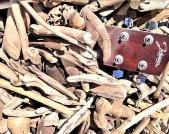 May include: A close-up of a collection of driftwood with a mahogany-colored ukulele headstock. The headstock has silver tuning pegs and the brand name "Johnson" printed on it. The driftwood pieces are various shapes and sizes, with light brown and tan hues.