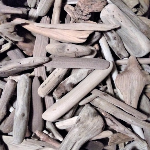 Bulk Driftwood Etsy
