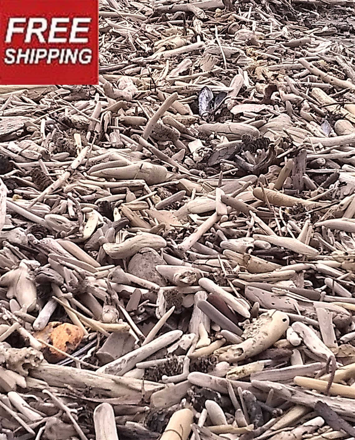 1000 PIECES 1 to 4 Driftwood Variety Packa Huge Etsy