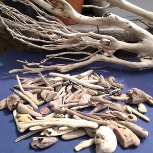 Natural Ocean Driftwood Pieces: Arts, Crafts, and Decor (200+ Assorted)