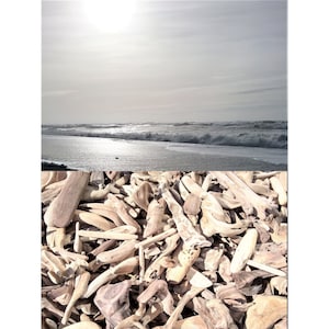 Northern California Driftwood Pieces (1-6&quot;): Arts & Crafts Supply