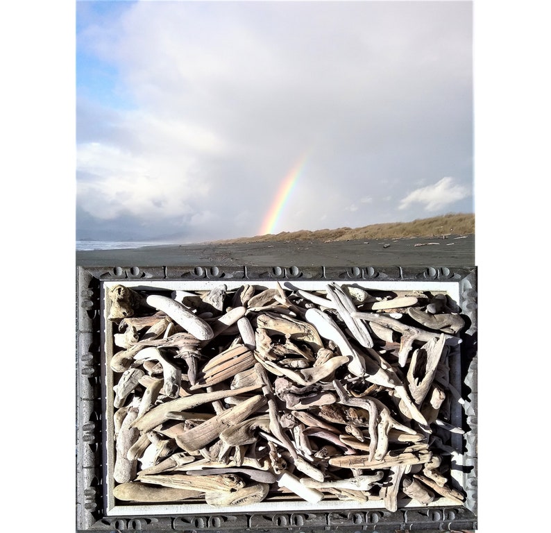 1000 PIECES 1 to 4 Driftwood Variety Packa Huge Etsy