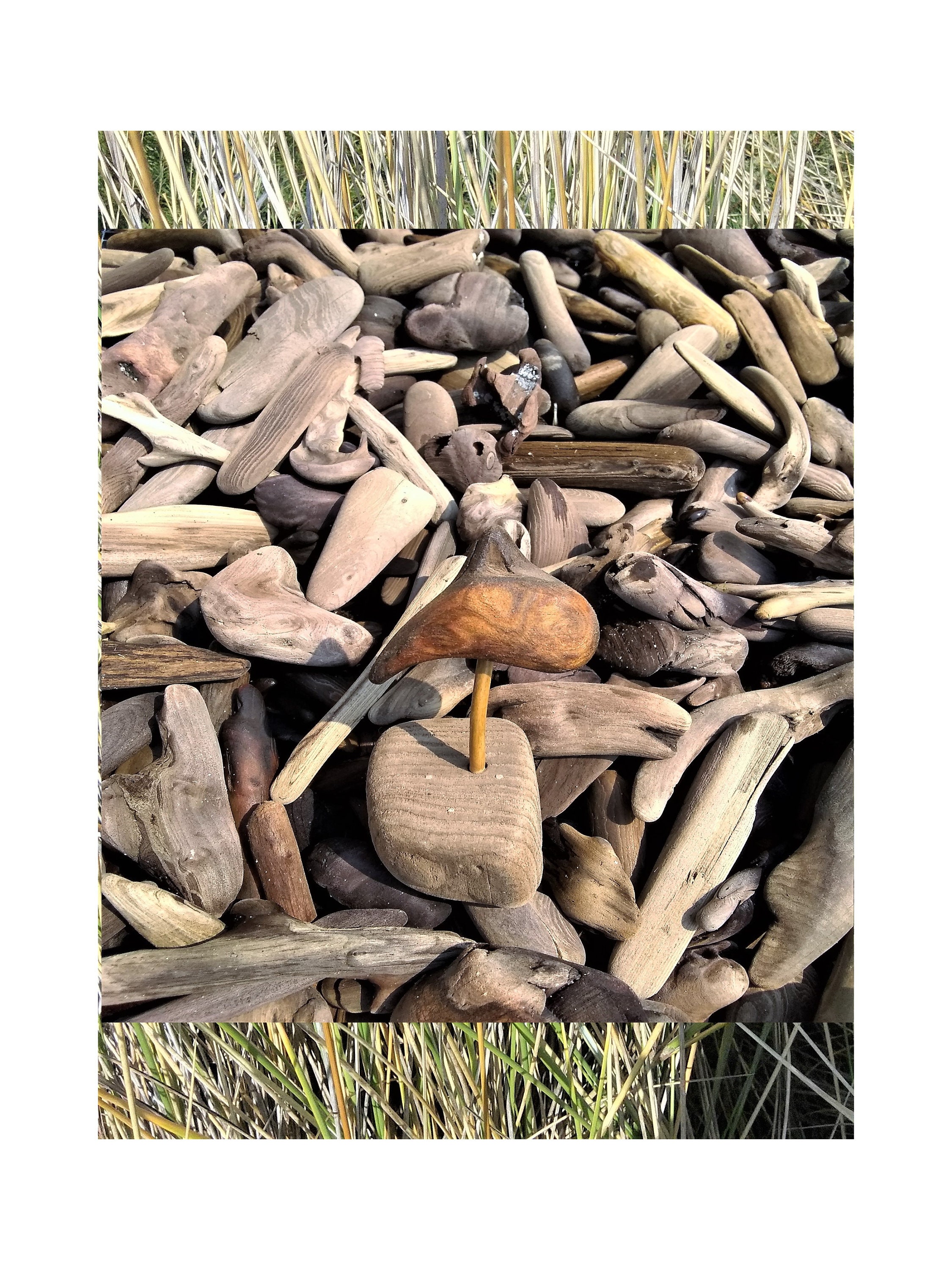 YOU CHOOSE SIZE! 1/2"-4" Driftwood Pieces! Choose Quantity …