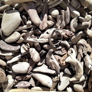 Tiny Pacific Ocean Driftwood Pieces: Hand-Gathered Arts & Crafts Supplies