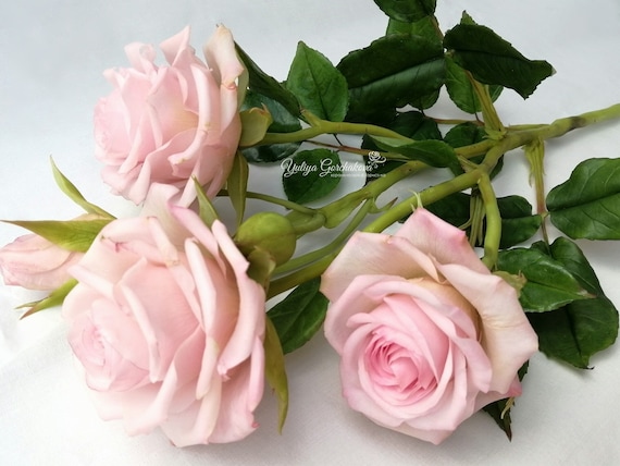 Rose Branche Rose Bush Roses Rose Pâle Spray Rose Fleurs En Porcelaine Argile Fleurs Roses Réalistes Bouquet De Roses Bouquet Rustique Fleur Royale