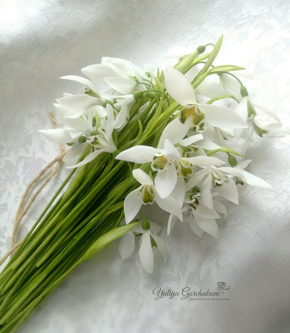 Les Gouttes De Neige Old Fleurs De Ressort De Porcelaine Vraies Fleurs De Contact Argile Fleurs Artificielles Les Gouttes De Neige Fleurs Fleurs