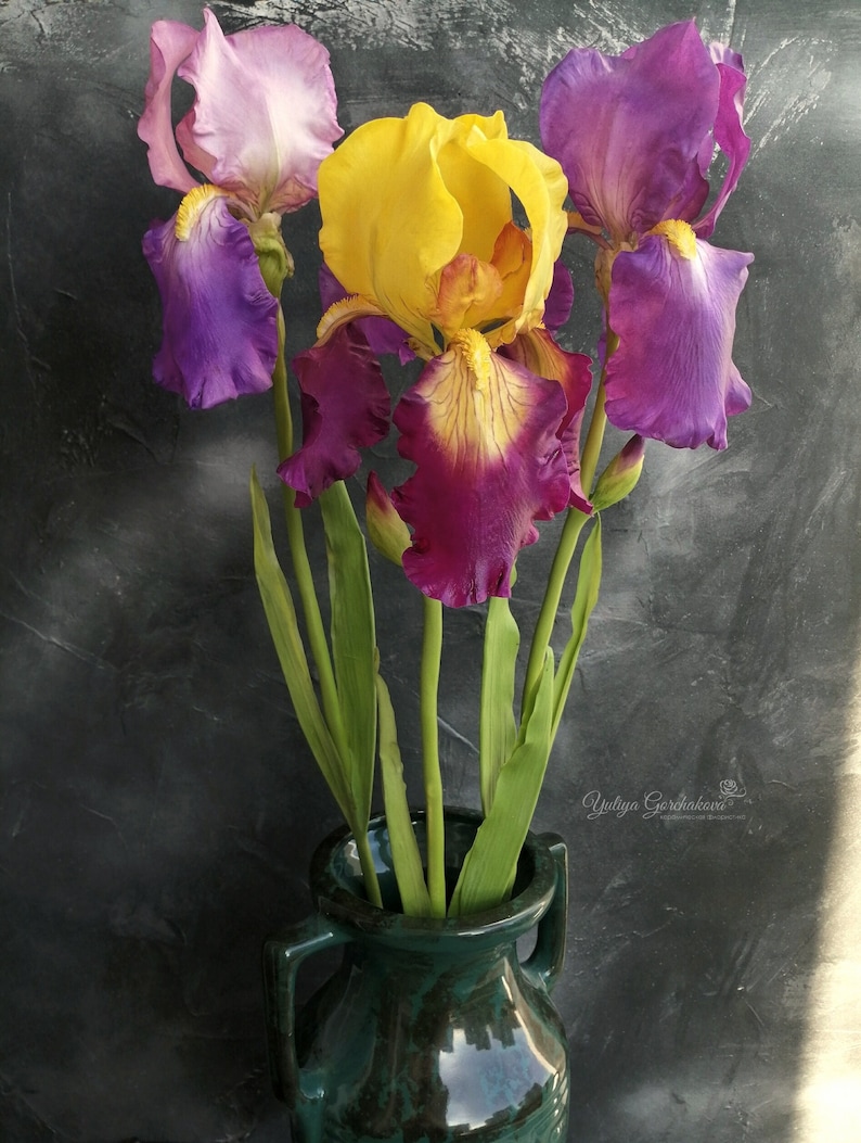 Bouquet of irises Purple flowers bouquet Spring flowers Real Etsy