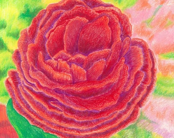 Pencil Sketched Floral Cards