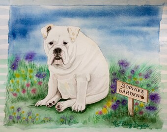 Pet Portraits
