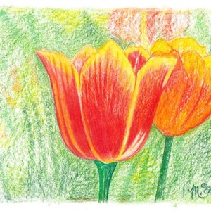Op de afbeelding: Twee oranje en gele tulpen met groene stelen tegen een groene en gele achtergrond.